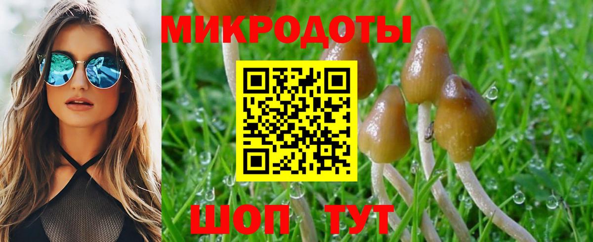 Мариинск  Галлюциногенные грибы мухоморы  Вход с VPN  Псилоцибиновые грибы GOLDEN TEACHER 